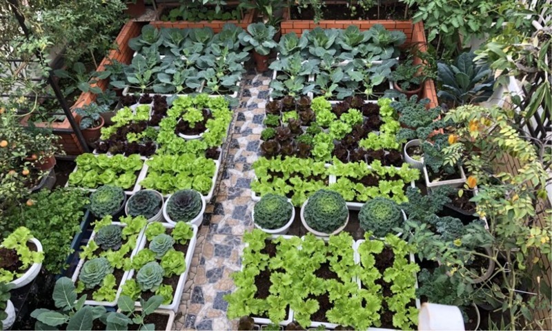 10 cách chống nóng nhà mái bằng hiệu quả